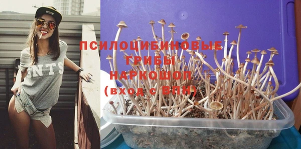 амфетамин Дмитриев