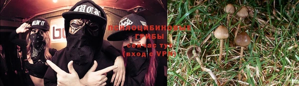 Альфа ПВП Дмитров