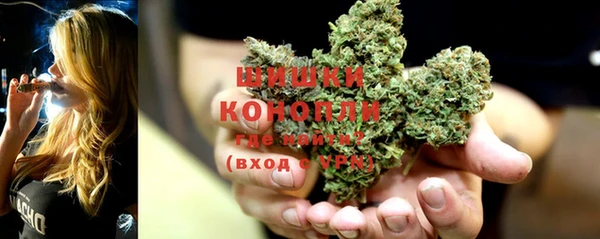 прущие грибы Карабаш